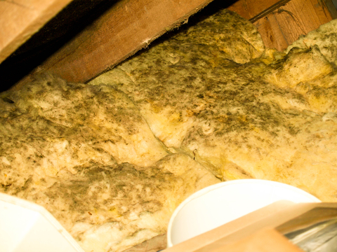 Mold Check-In Attic Installation by Ethical Exteriors