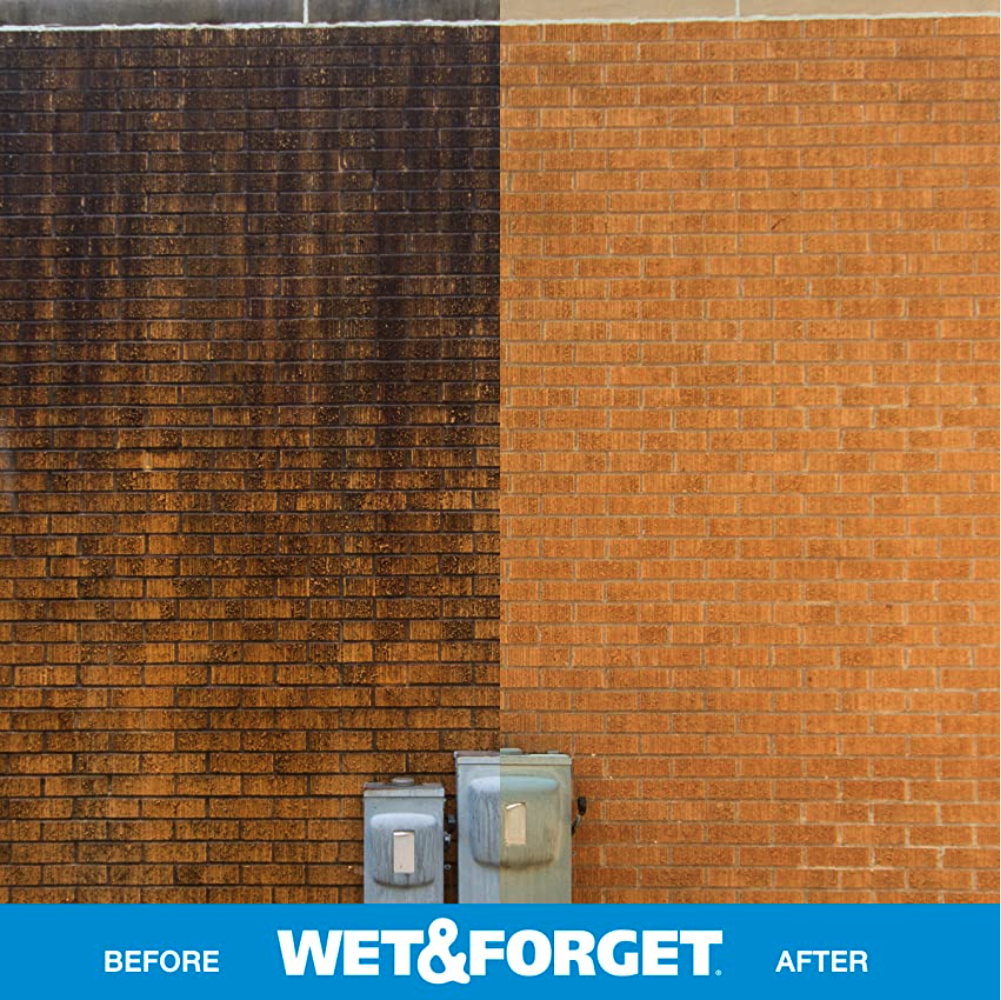apply wet & forget on brick walls